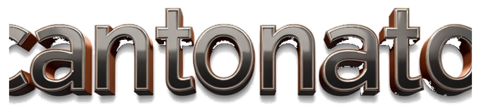 cantonatoto logo